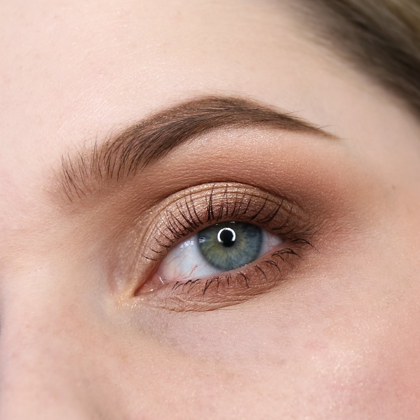 Bronze Eyeshadow Palette