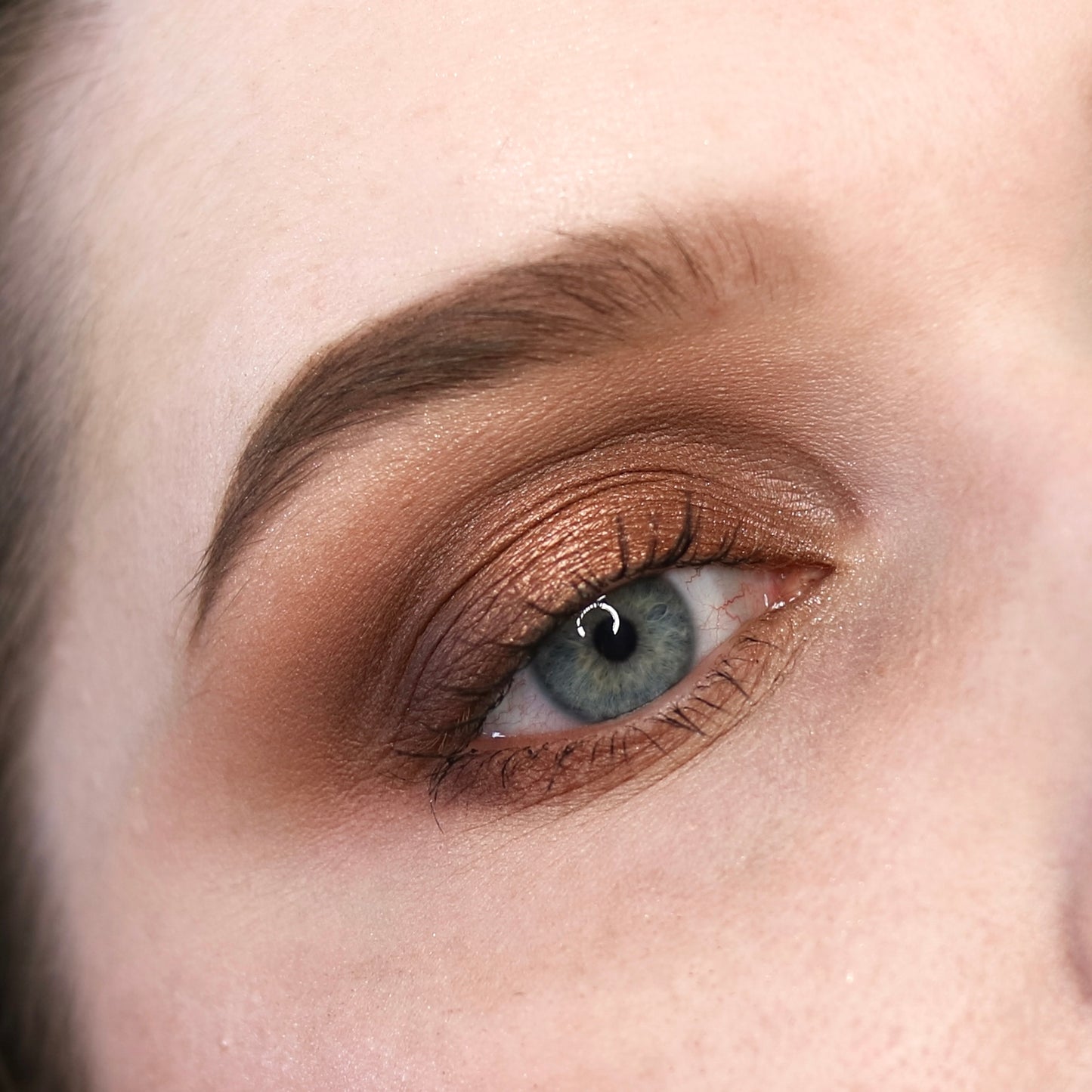Bronze Eyeshadow Palette